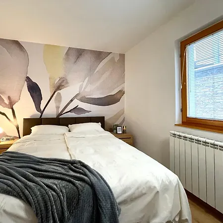 公寓 Cozy Midtown Flat W/ Free Parking 塞拉耶佛